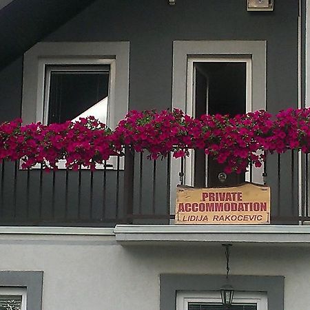 Private Accommodation Lidija Rakocevic コラシン エクステリア 写真