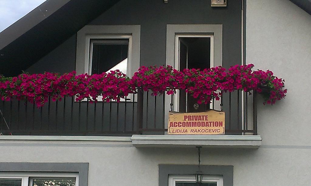 Private Accommodation Lidija Rakocevic コラシン エクステリア 写真