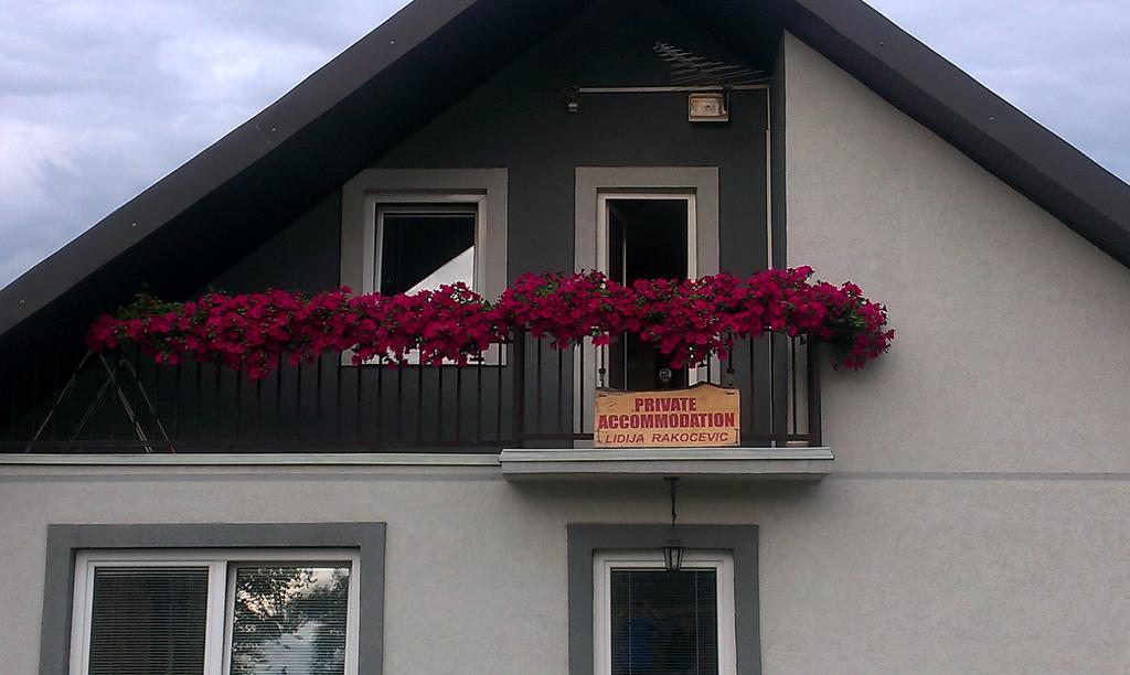 Private Accommodation Lidija Rakocevic コラシン エクステリア 写真